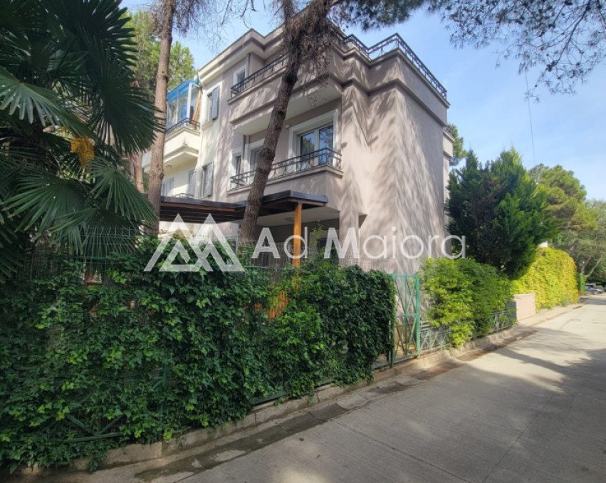 VILE NE SHITJE NE QERRET