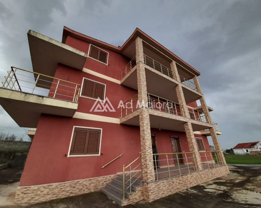 VILE NE SHITJE NE KODER